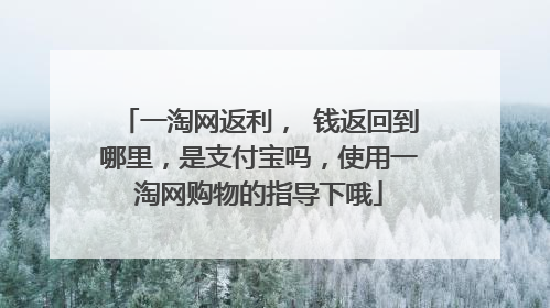 一淘网返利, 钱返回到哪里,是支付宝吗,使用一淘网购物的指导下哦