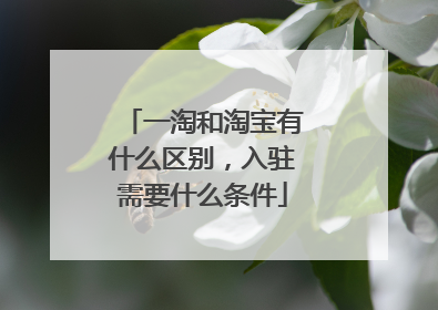 一淘和淘宝有什么区别,入驻需要什么条件