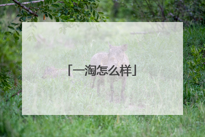 一淘怎么样