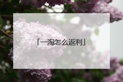 一淘怎么返利