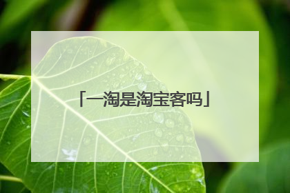一淘是淘宝客吗