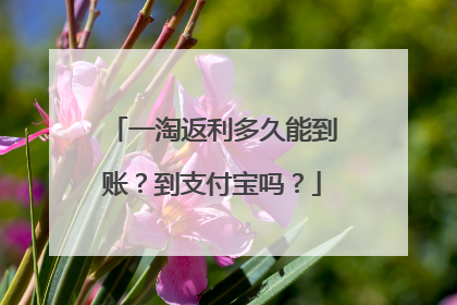 一淘返利多久能到账?到支付宝吗?