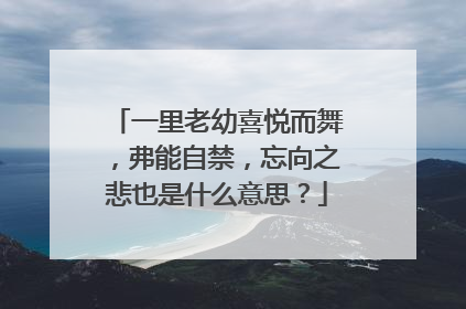 一里老幼喜悦而舞，弗能自禁，忘向之悲也是什么意思？