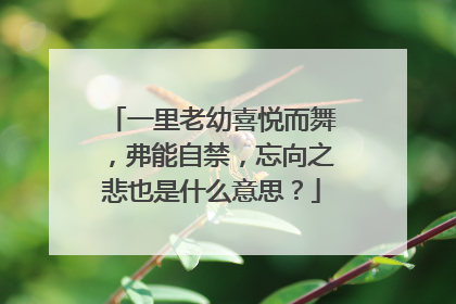 一里老幼喜悦而舞,弗能自禁,忘向之悲也是什么意思?