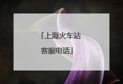上海火车站客服电话