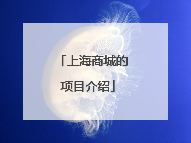 上海商城的项目介绍