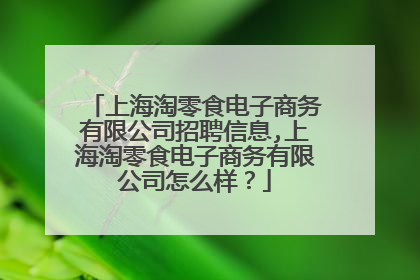 上海淘零食电子商务有限公司招聘信息,上海淘零食电子商务有限公司怎么样?