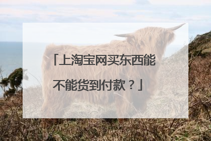 上淘宝网买东西能不能货到付款?