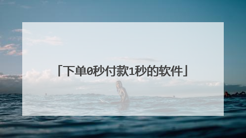 下单0秒付款1秒的软件