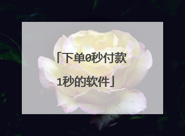 下单0秒付款1秒的软件