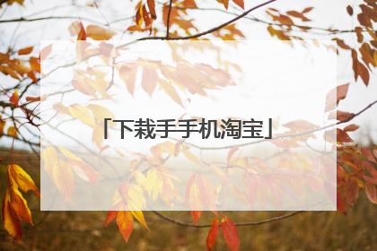 下栽手手机淘宝