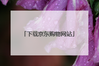 下载京东购物网站