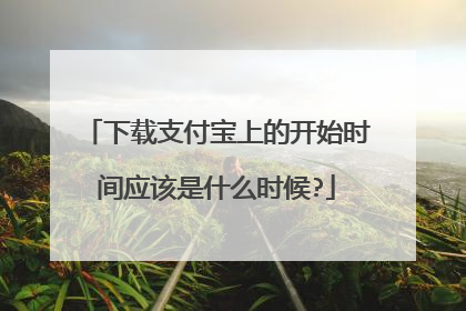 下载支付宝上的开始时间应该是什么时候?