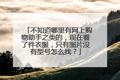 不知道哪里有网上购物助手之类的,现在看了件衣服,只有图片没有型号怎么找?