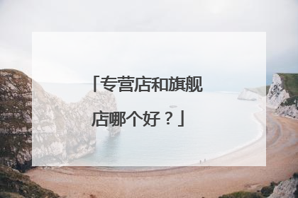 专营店和旗舰店哪个好?