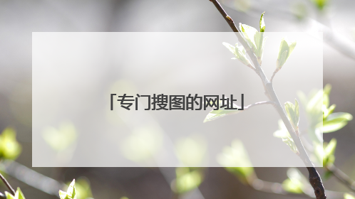 专门搜图的网址