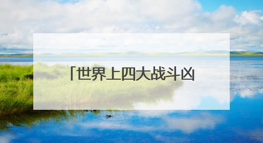 世界上四大战斗凶猛的硬汉都是谁