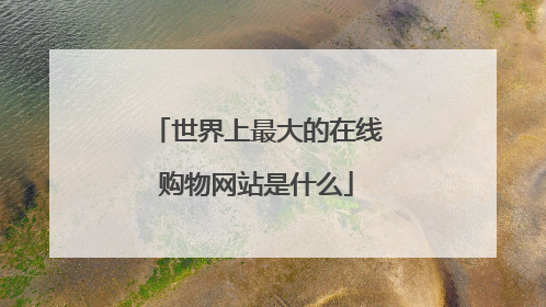 世界上最大的在线购物网站是什么