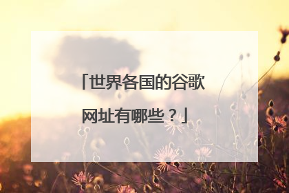 世界各国的谷歌网址有哪些？