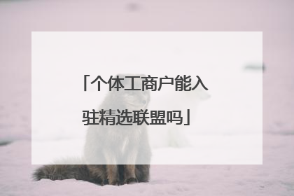 个体工商户能入驻精选联盟吗