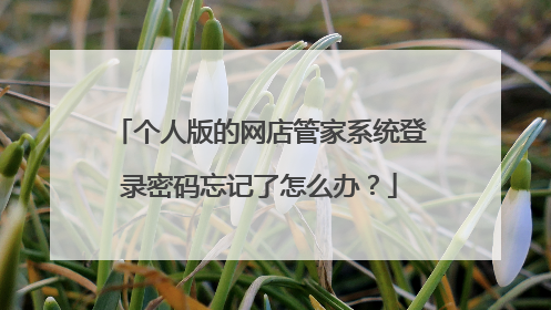个人版的网店管家系统登录密码忘记了怎么办?