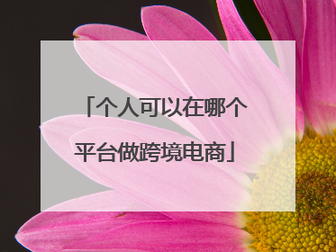 个人可以在哪个平台做跨境电商