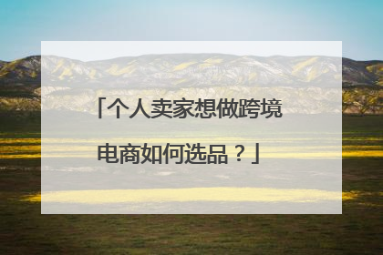 个人卖家想做跨境电商如何选品?