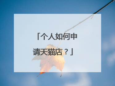个人如何申请天猫店?