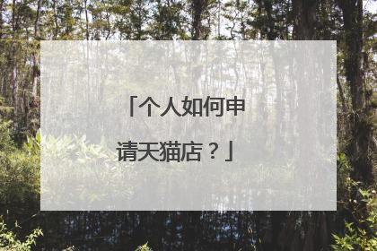 个人如何申请天猫店?