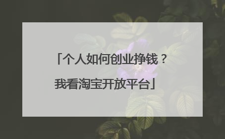 个人如何创业挣钱?我看淘宝开放平台