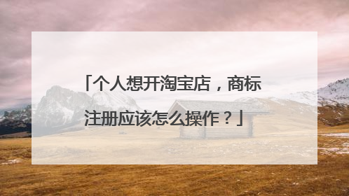 个人想开淘宝店,商标注册应该怎么操作?