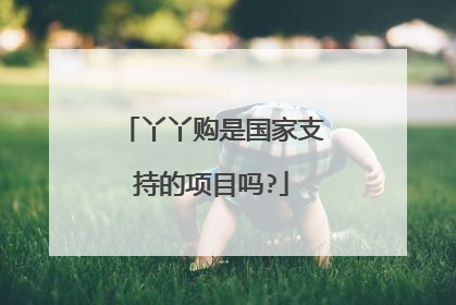 丫丫购是国家支持的项目吗?