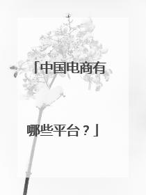 中国电商有哪些平台?