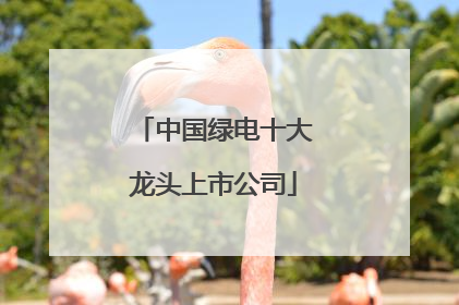 中国绿电十大龙头上市公司