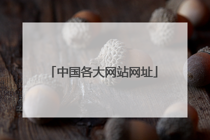 中国各大网站网址