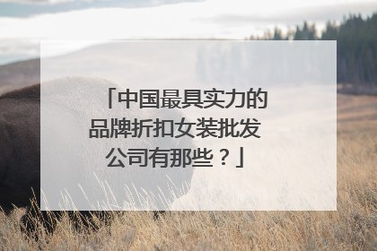 中国最具实力的品牌折扣女装批发公司有那些?
