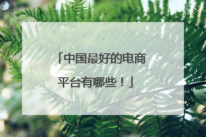 中国最好的电商平台有哪些!