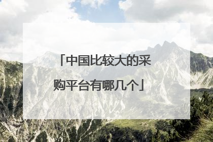 中国比较大的采购平台有哪几个
