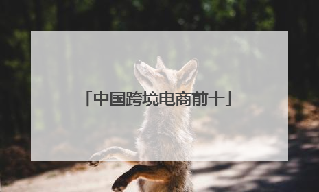 中国跨境电商前十
