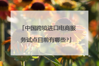 中国跨境进口电商服务试点目前有哪些?