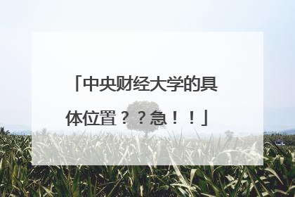 中央财经大学的具体位置??急!!