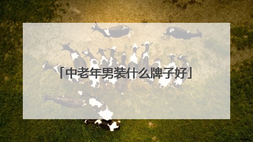 中老年男装什么牌子好