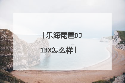 乐海琵琶DJ13X怎么样