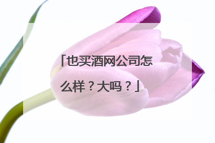 也买酒网公司怎么样？大吗？