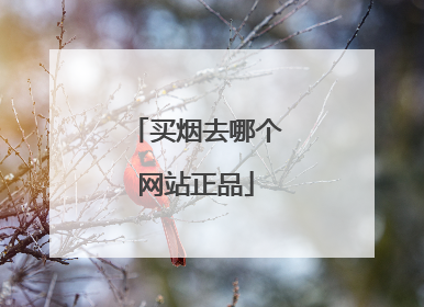 买烟去哪个网站正品
