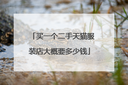 买一个二手天猫服装店大概要多少钱