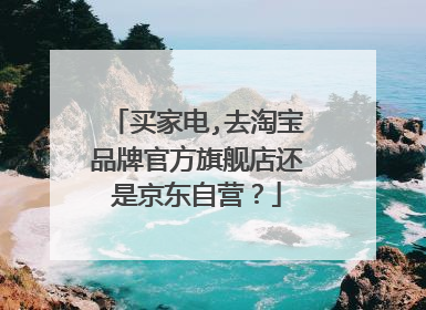 买家电,去淘宝品牌官方旗舰店还是京东自营?