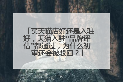 买天猫店好还是入驻好,天猫入驻“品牌评估”都通过,为什么初审还会被驳回?