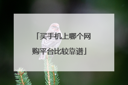 买手机上哪个网购平台比较靠谱