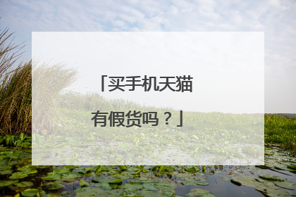 买手机天猫有假货吗?